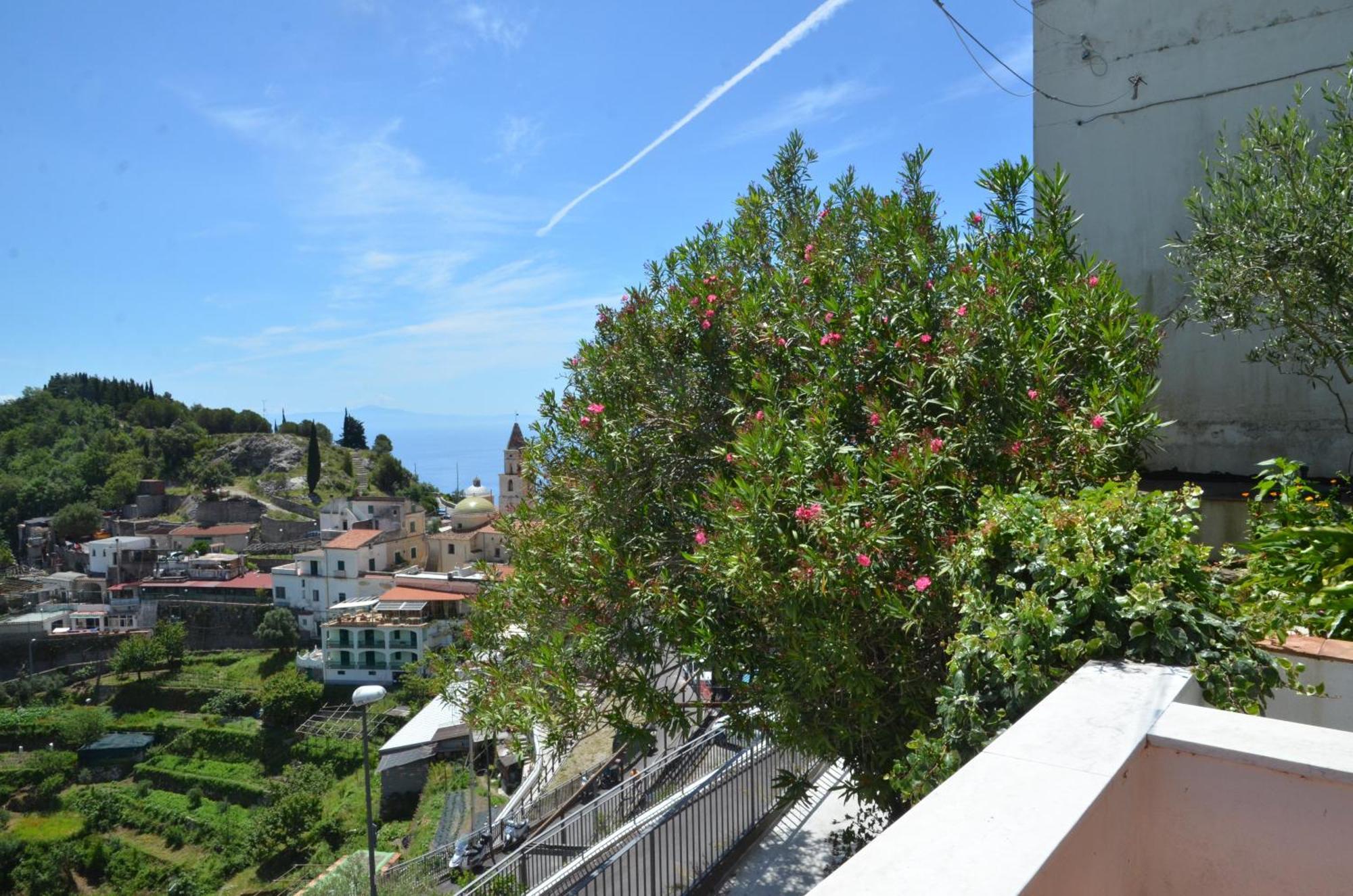 Hills Amalfi
